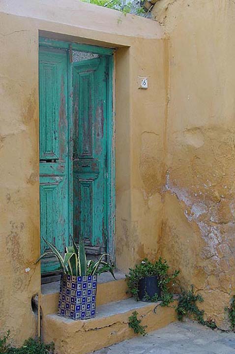 Athens - Plaka cat - Greece / Athens / Plaka by Gene Burch