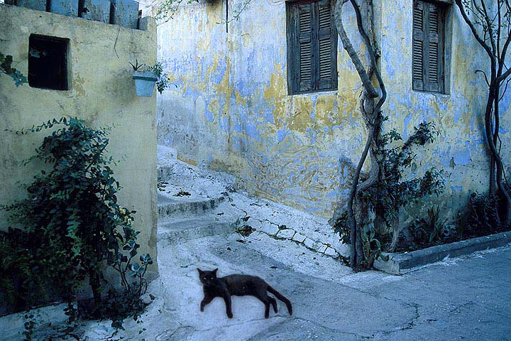 Greece - Athens - Plaka -  by Gene Burch