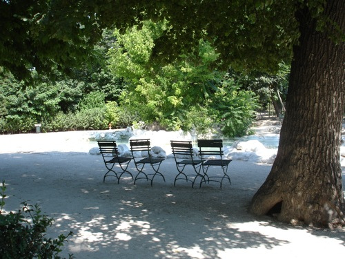 CHAIRS AND TREE - Chairs under a tree in the National Gardens of Athens (Vassilikos Kipos in greek)